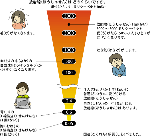 放射線（ほうしゃせん）は どのくらいですか。