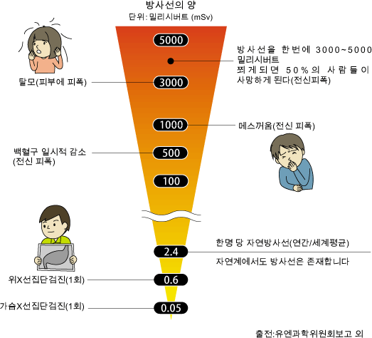 방사선의 양